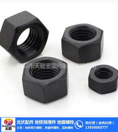 廠價(jià)高強(qiáng)度螺母 高強(qiáng)度螺母 天聰緊固件